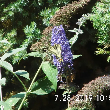 بيت للعطل Am Nepperminer Neppermin